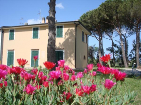 Appartamenti a Vignarca - Località Perelli